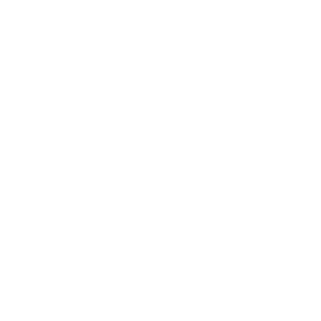 Zaid Qourah